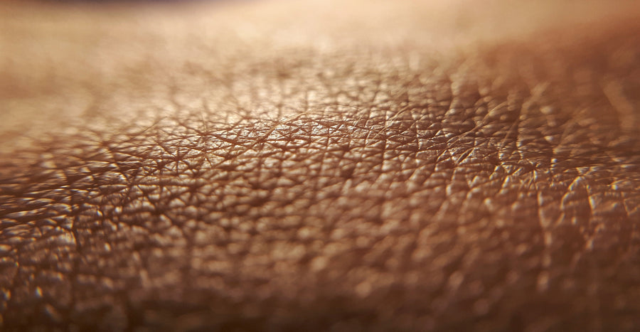 What is Skin?