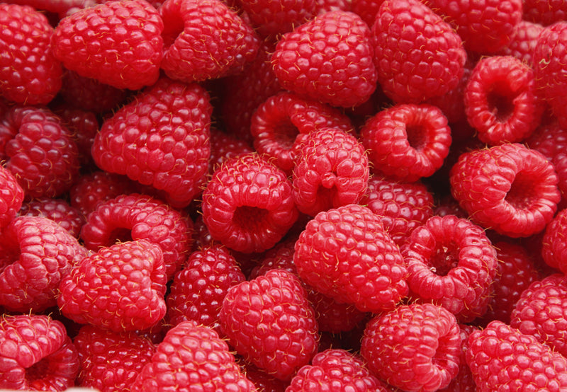 Raspberry