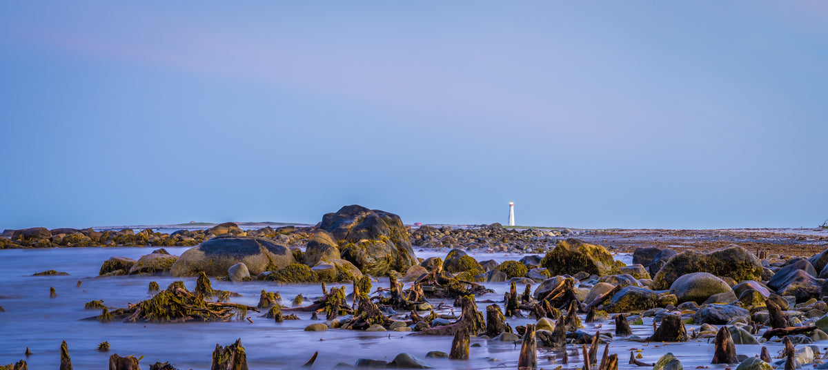 Low Tide Bounty