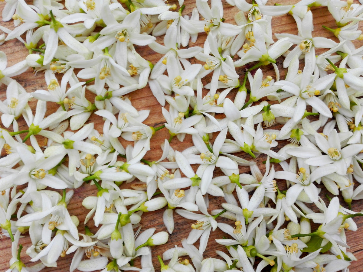 Neroli