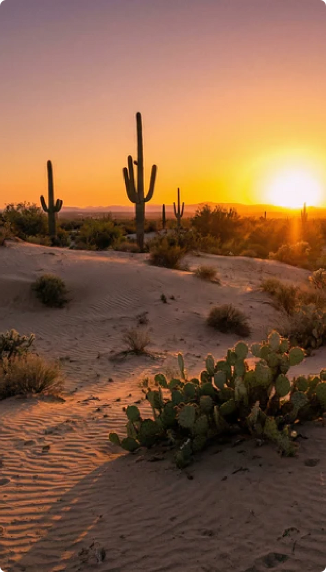 Desert landscape