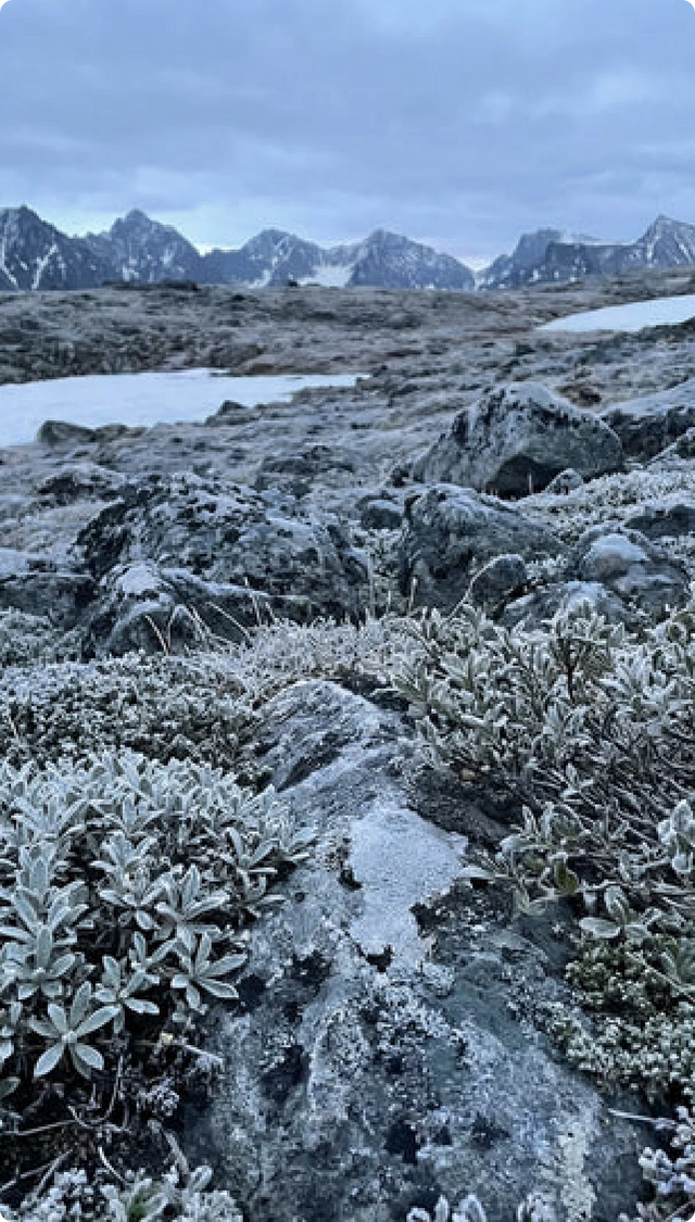 Alpine landscape