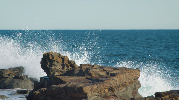 The Coastline