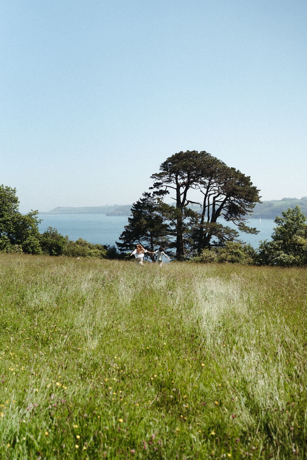 The cedar · coast view