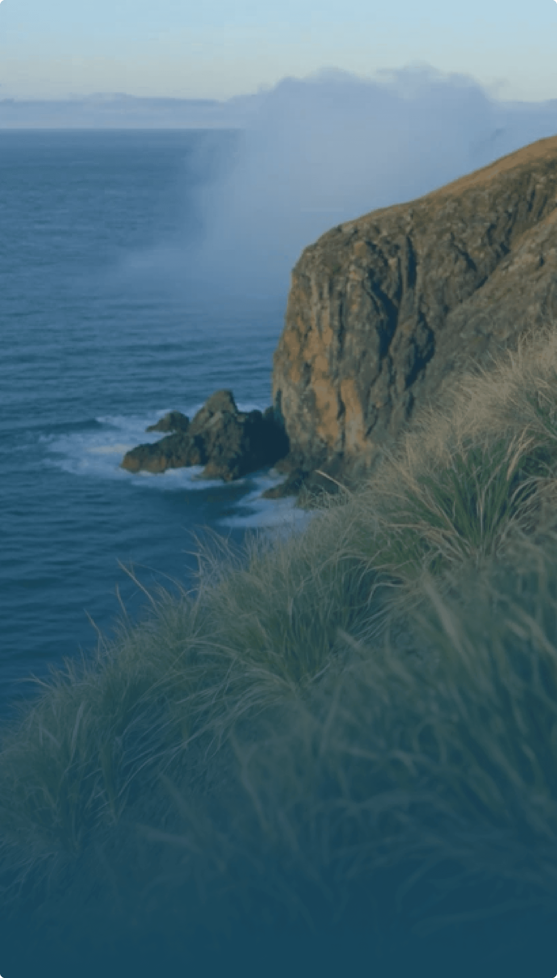 Cornish ecosystem