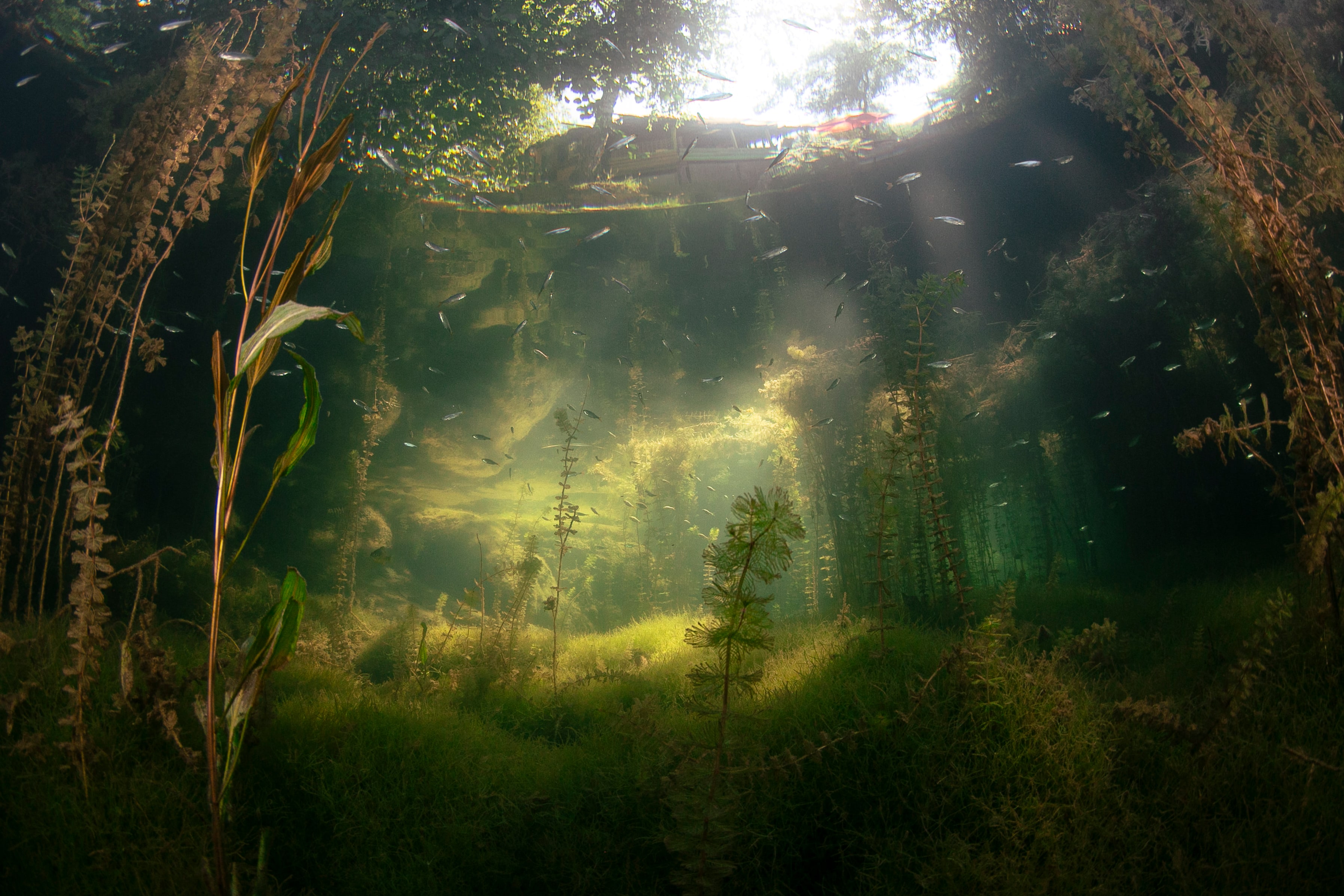 Wider ecosystem landscape — the framework expands