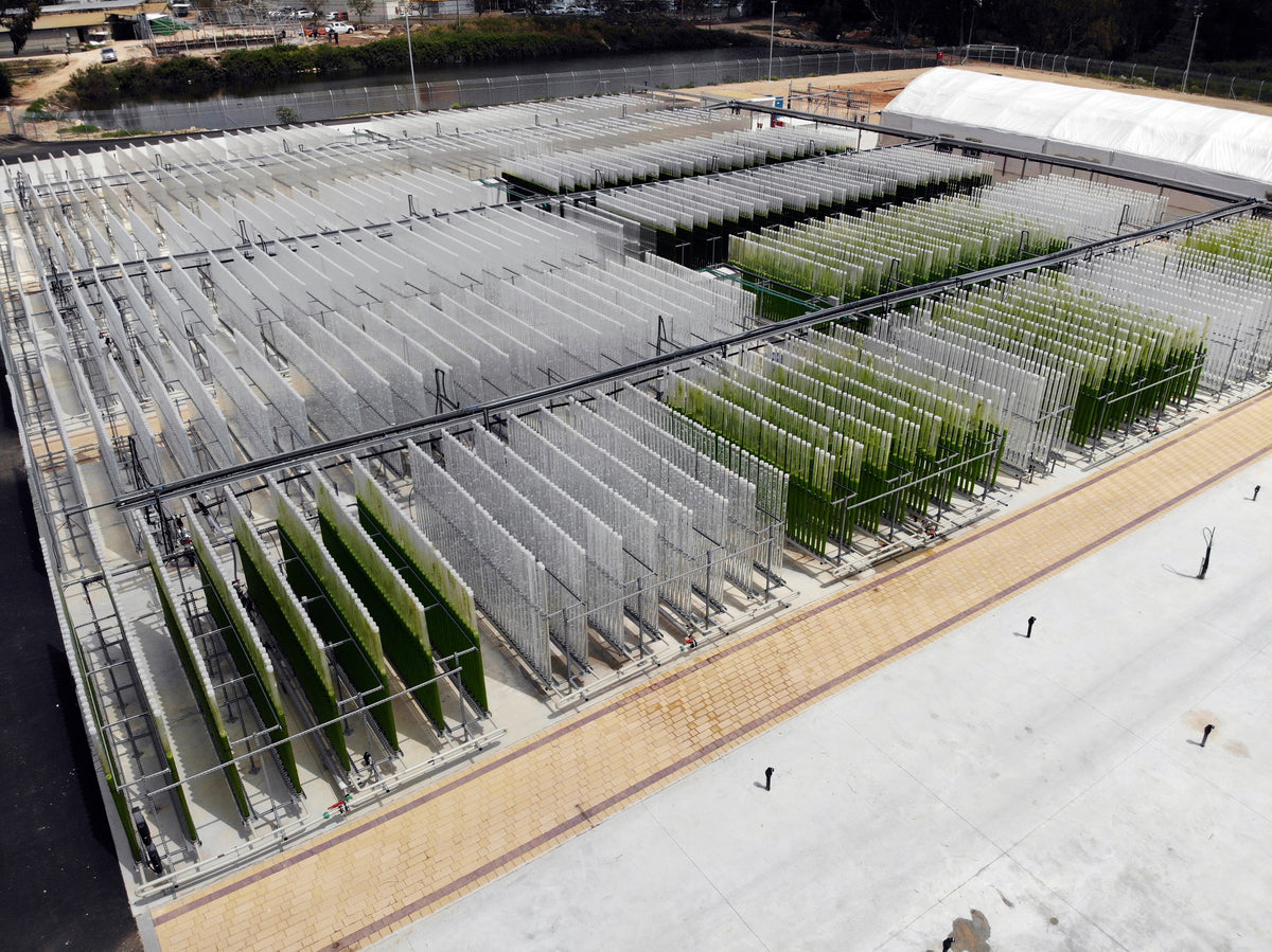 Bioreactor