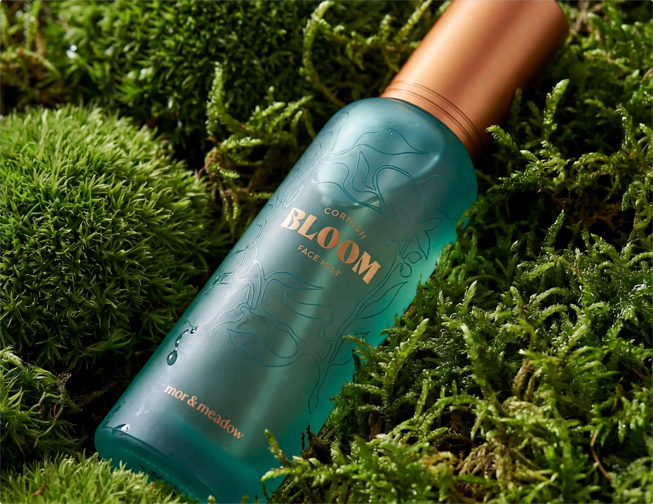 Image of Cornish Bloom