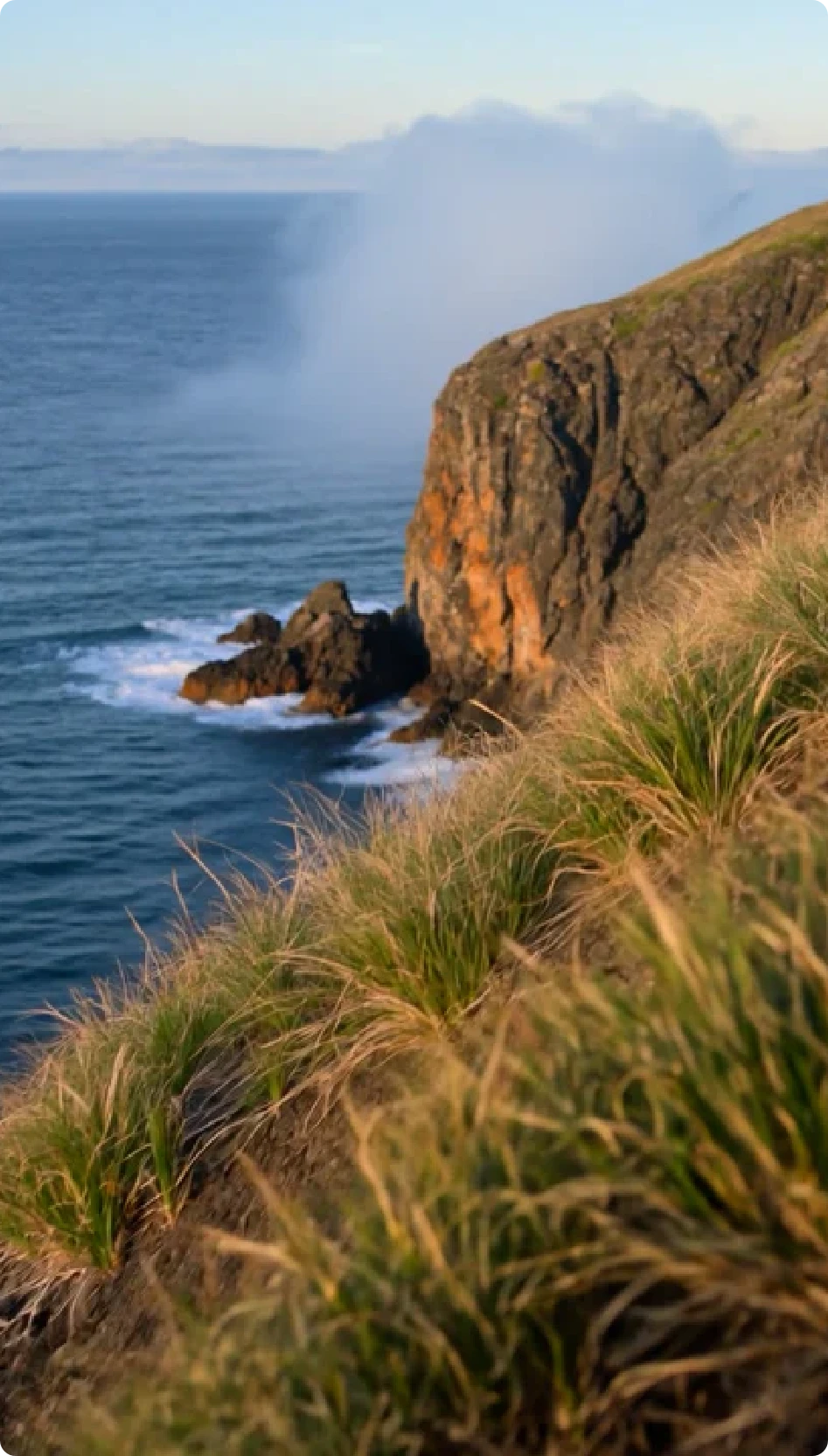The Cornish coast — cliffs meeting the Atlantic
