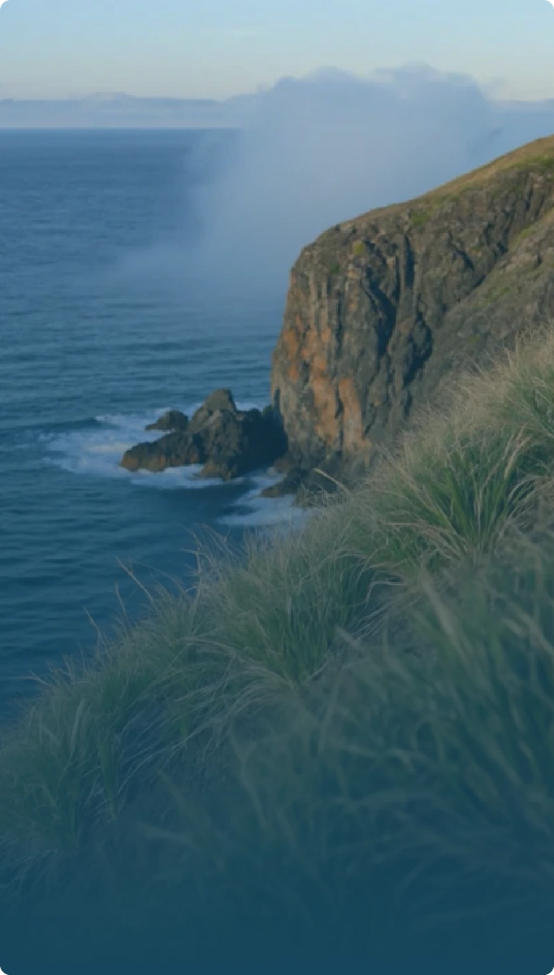 Cornish ecosystem