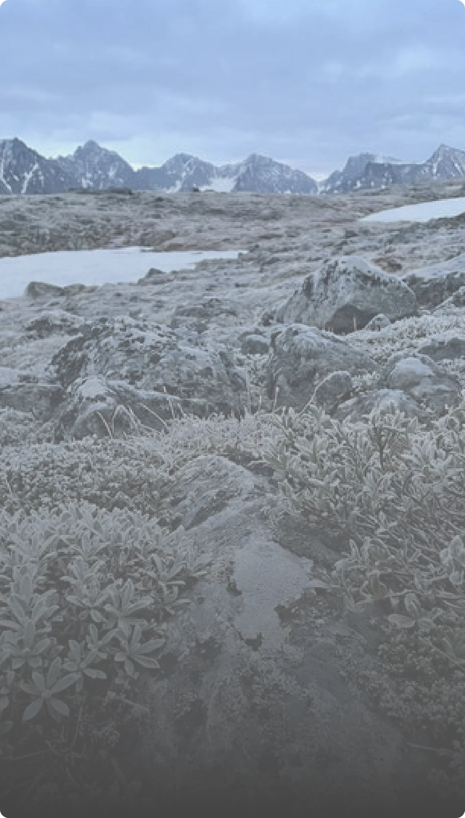 Alpine landscape