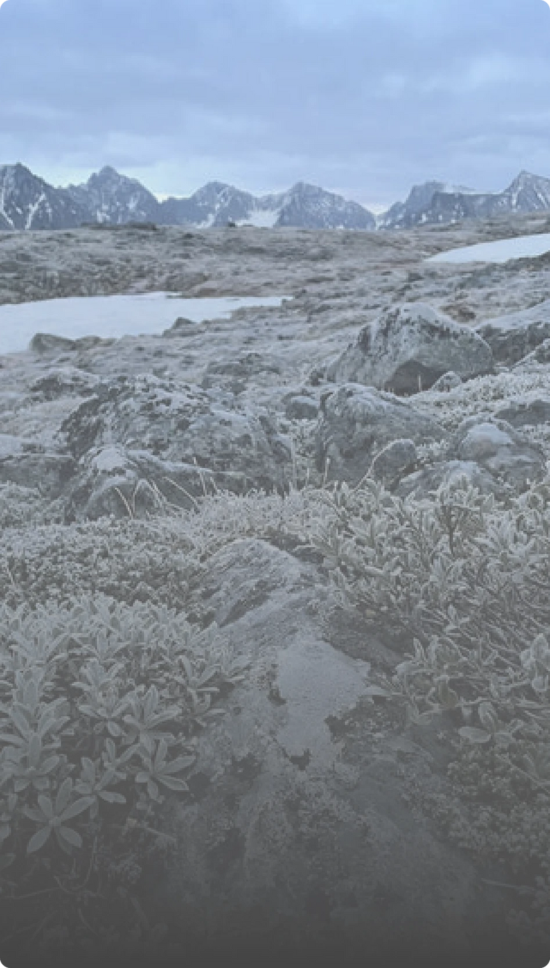 Alpine landscape