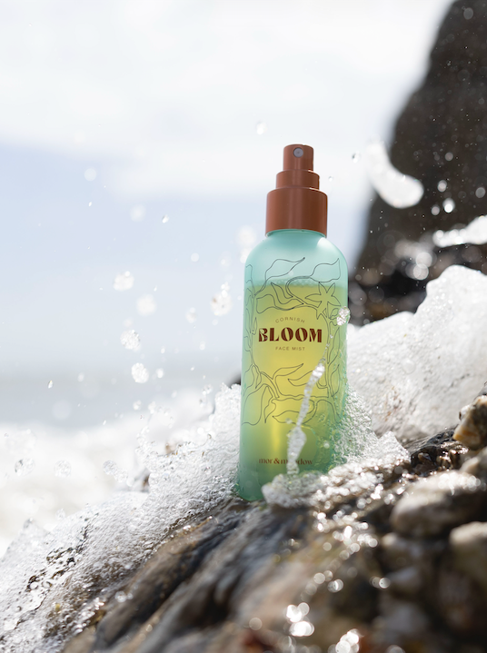 What is Bloom?