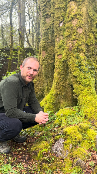 Wider ecosystem landscape — the framework expands