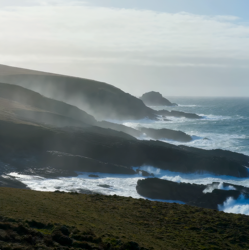 Cornish coast — the foundational ecosystem