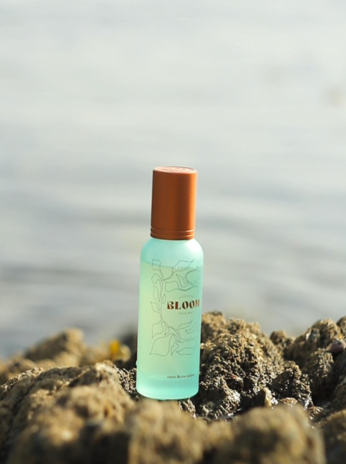 Bloom · against the shimmering sea