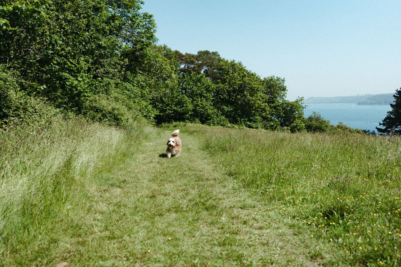 The path to the sea