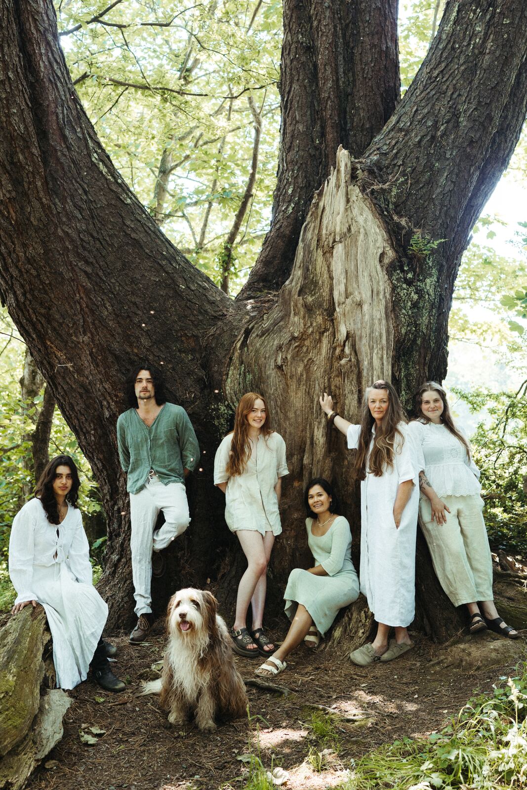 The collective · Bosveal